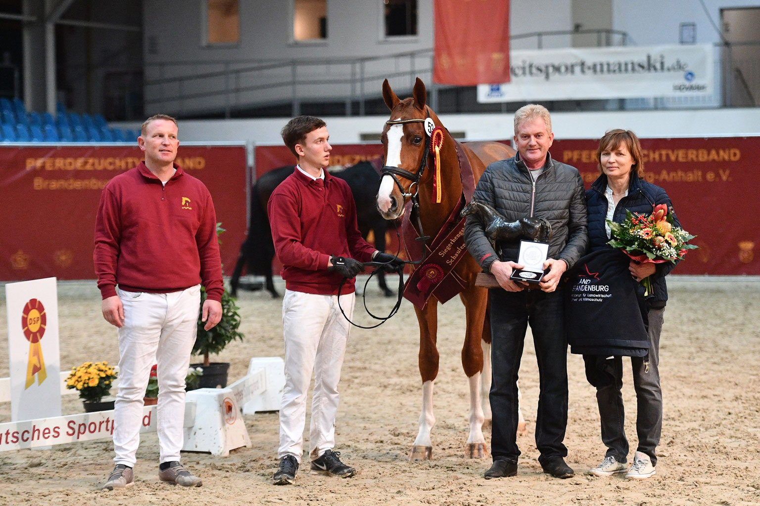 Schaufenster der Besten vom 12. bis 14. November mit Körung, Prämierung