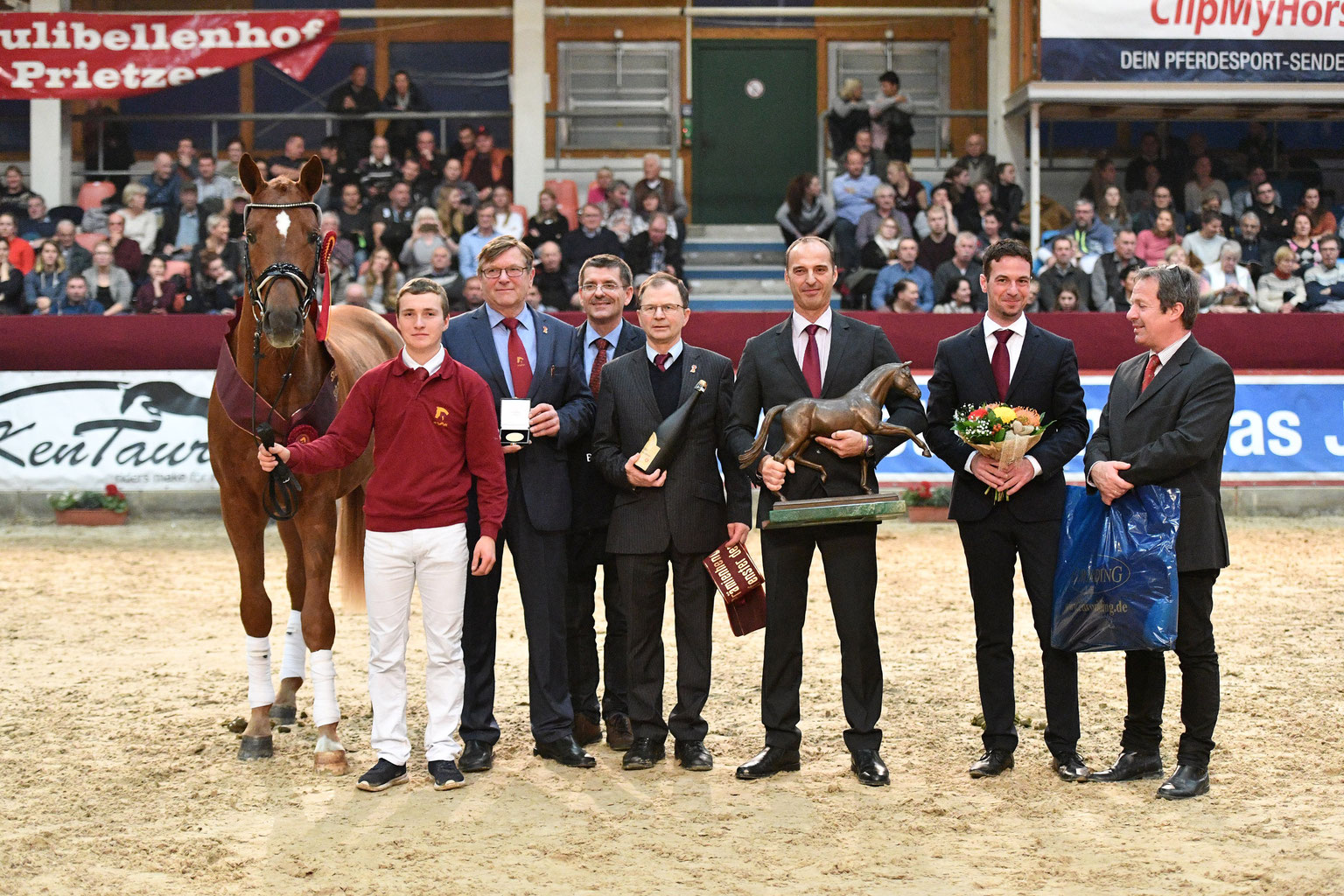 DSP Körung in Neustadt (Dosse) Siegerhengste von Lord Loxley und
