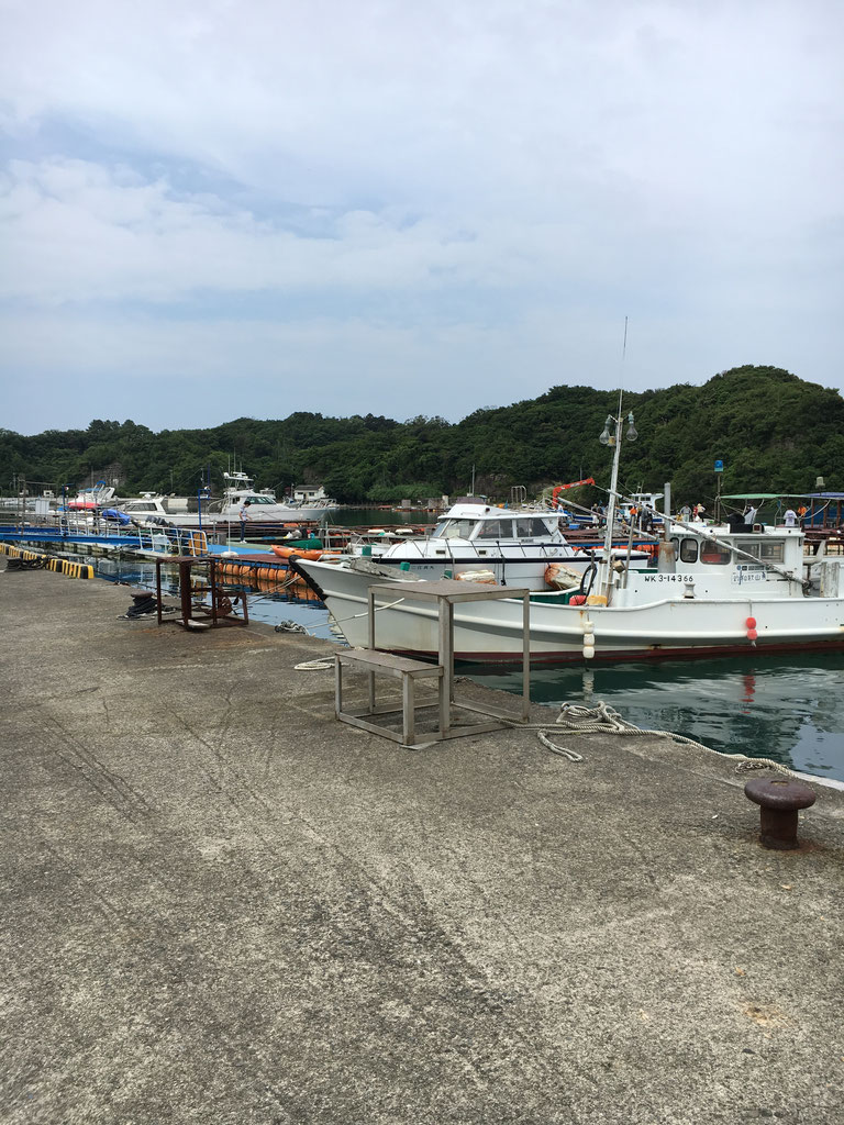 海上釣り堀まるちょうのファミリー釣り堀 和歌山 田辺 珈琲館サバ 海上釣り堀まるちょうのファミリー釣り堀 和歌山 田辺 珈琲館サバ