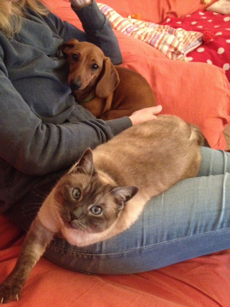 Copyright Balcar.at (c) Balcar.at