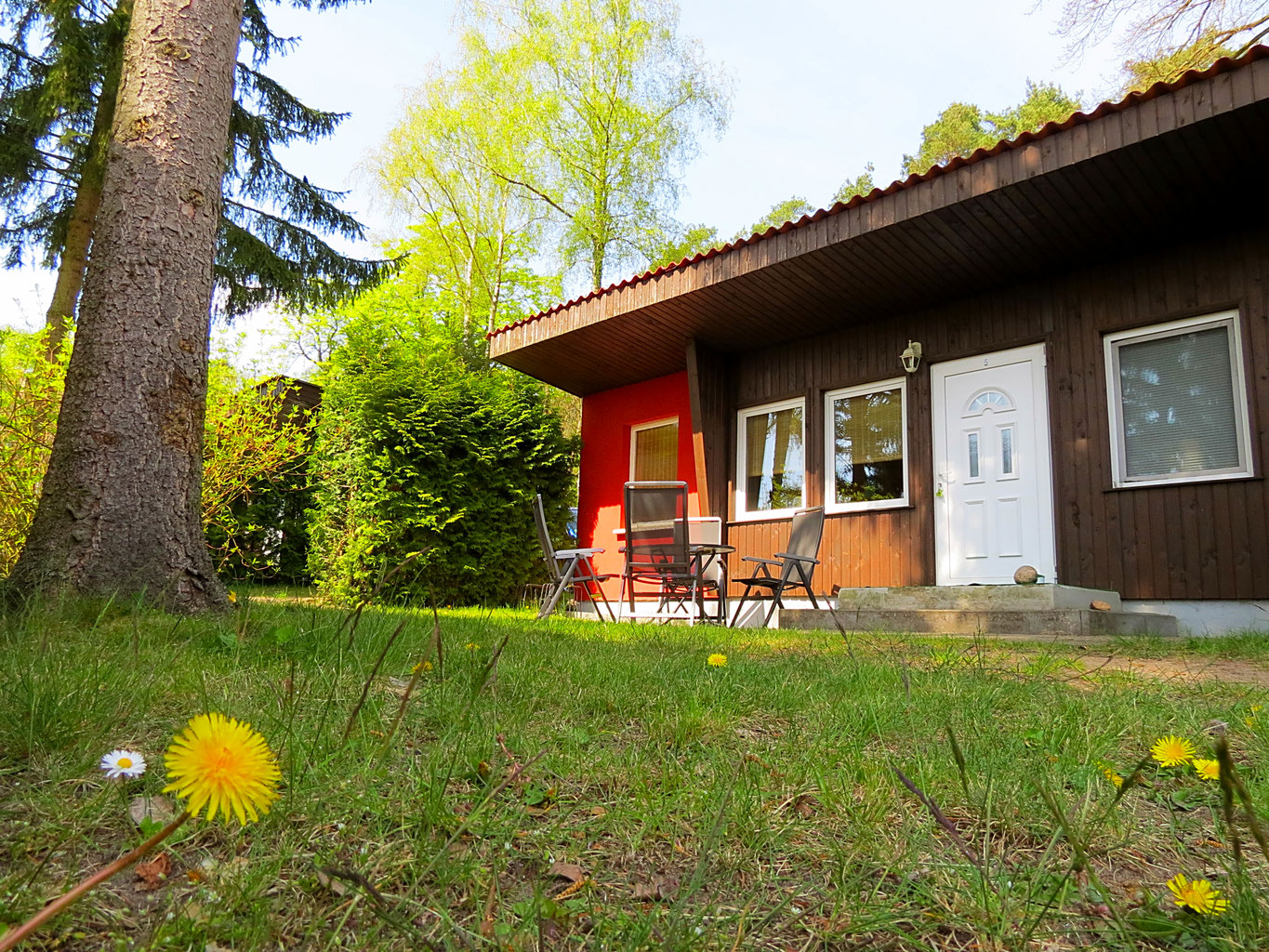 Feriendorf Drewensee Ferienhaus Mit Pool Am See Mecklenburg