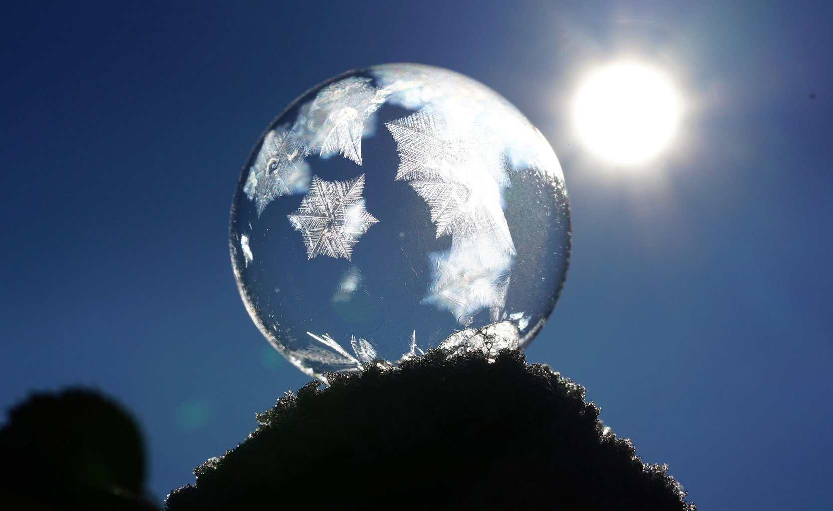 Natural refrigerants Refrigerants, Naturally!