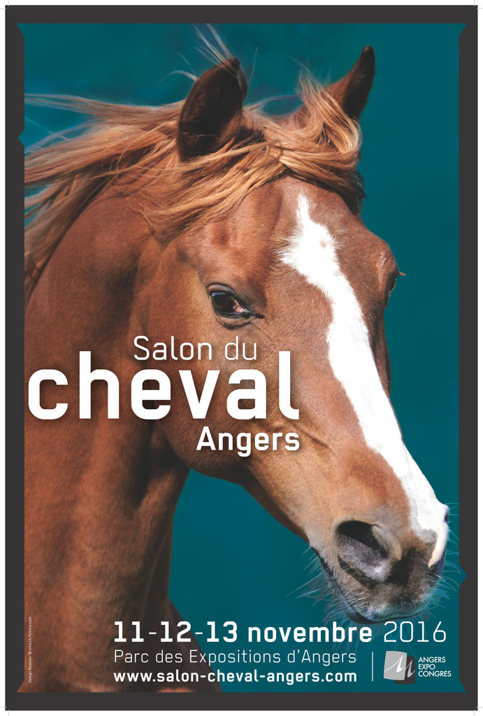 Actions Menees En 2016 Federation Francaise Du Cheval Islandais