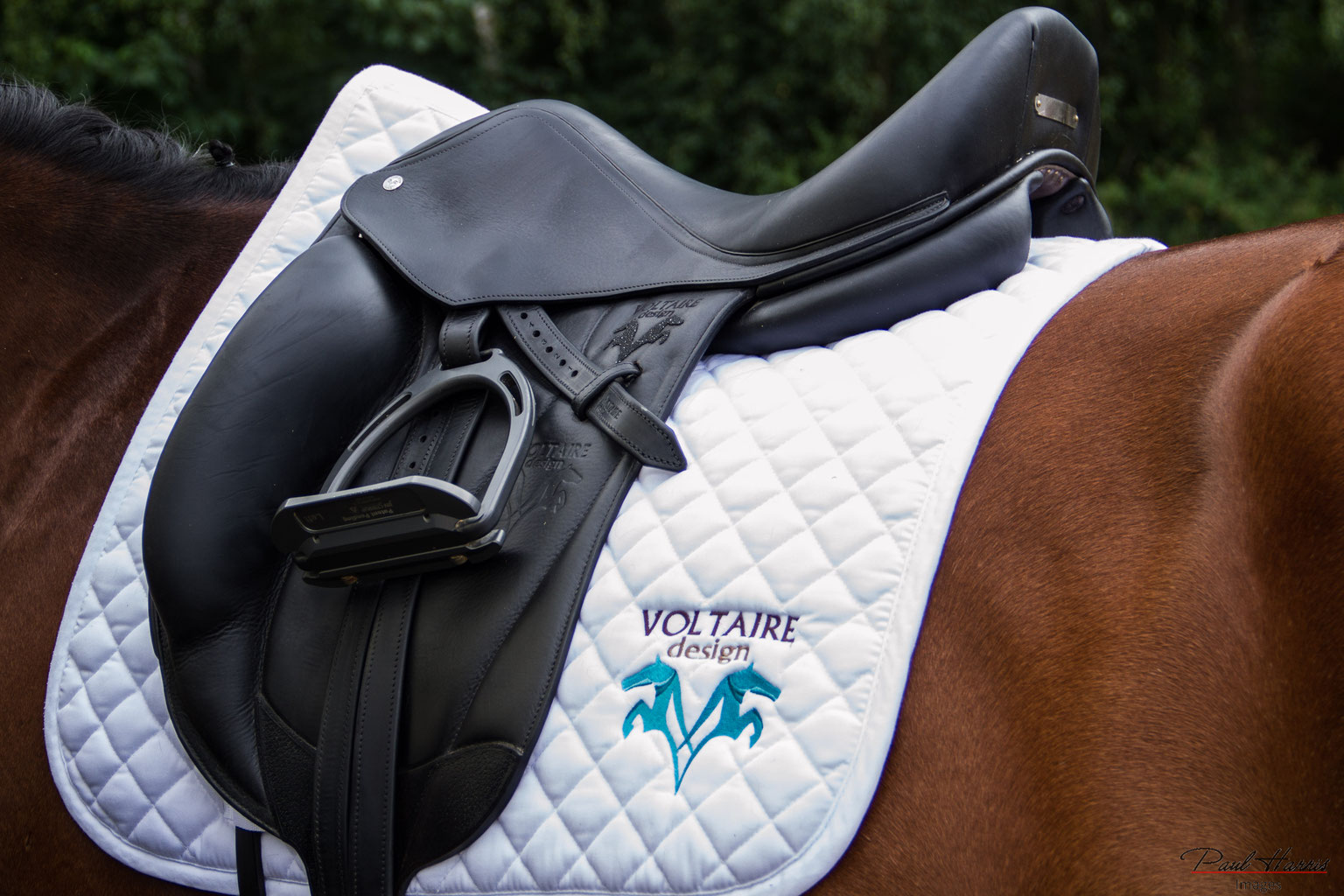 How to get equestrian sponsorship Riviera PR LTD