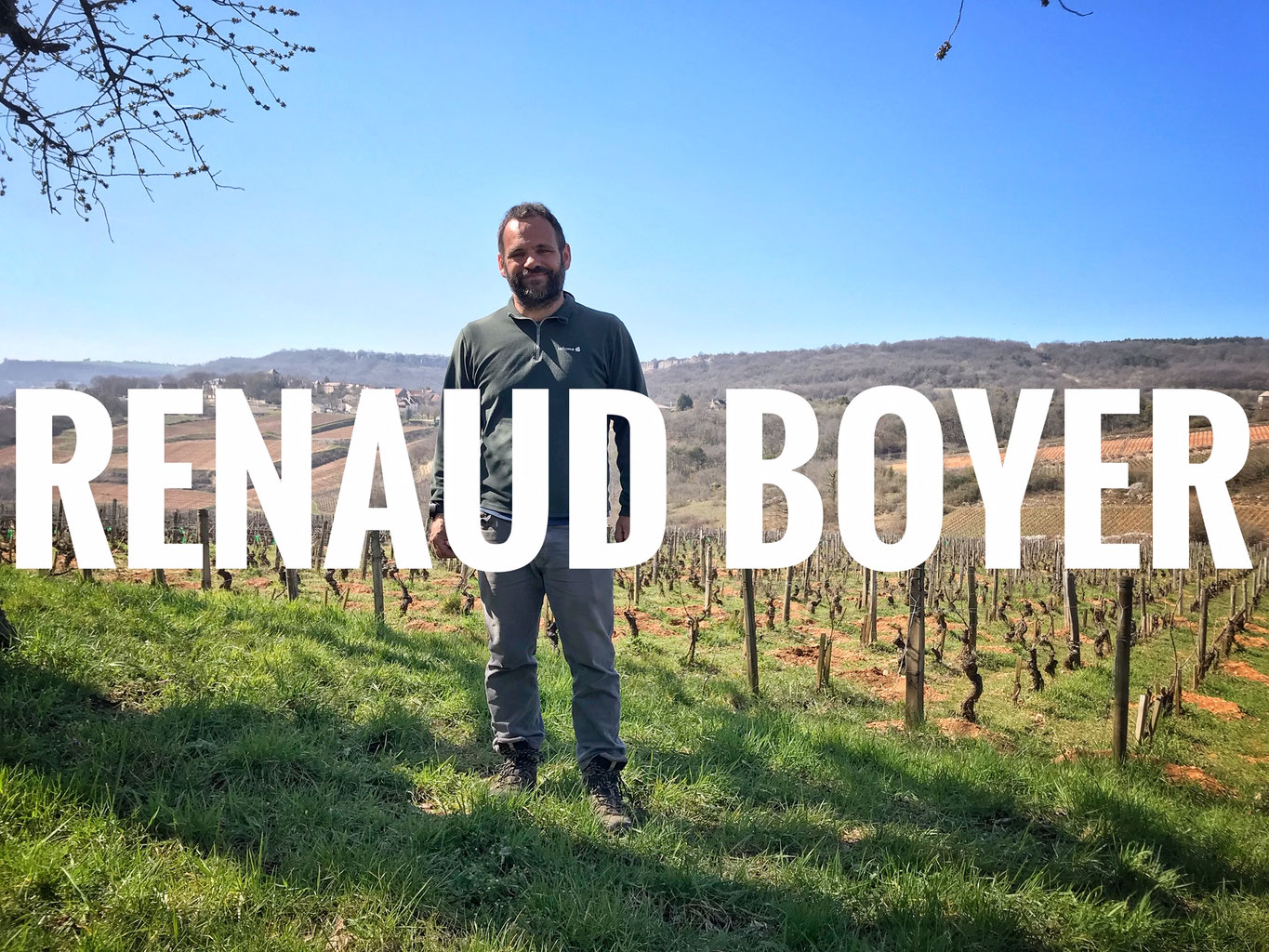 Domaine Renaud Boyer Vins Vivants lebendige Weine