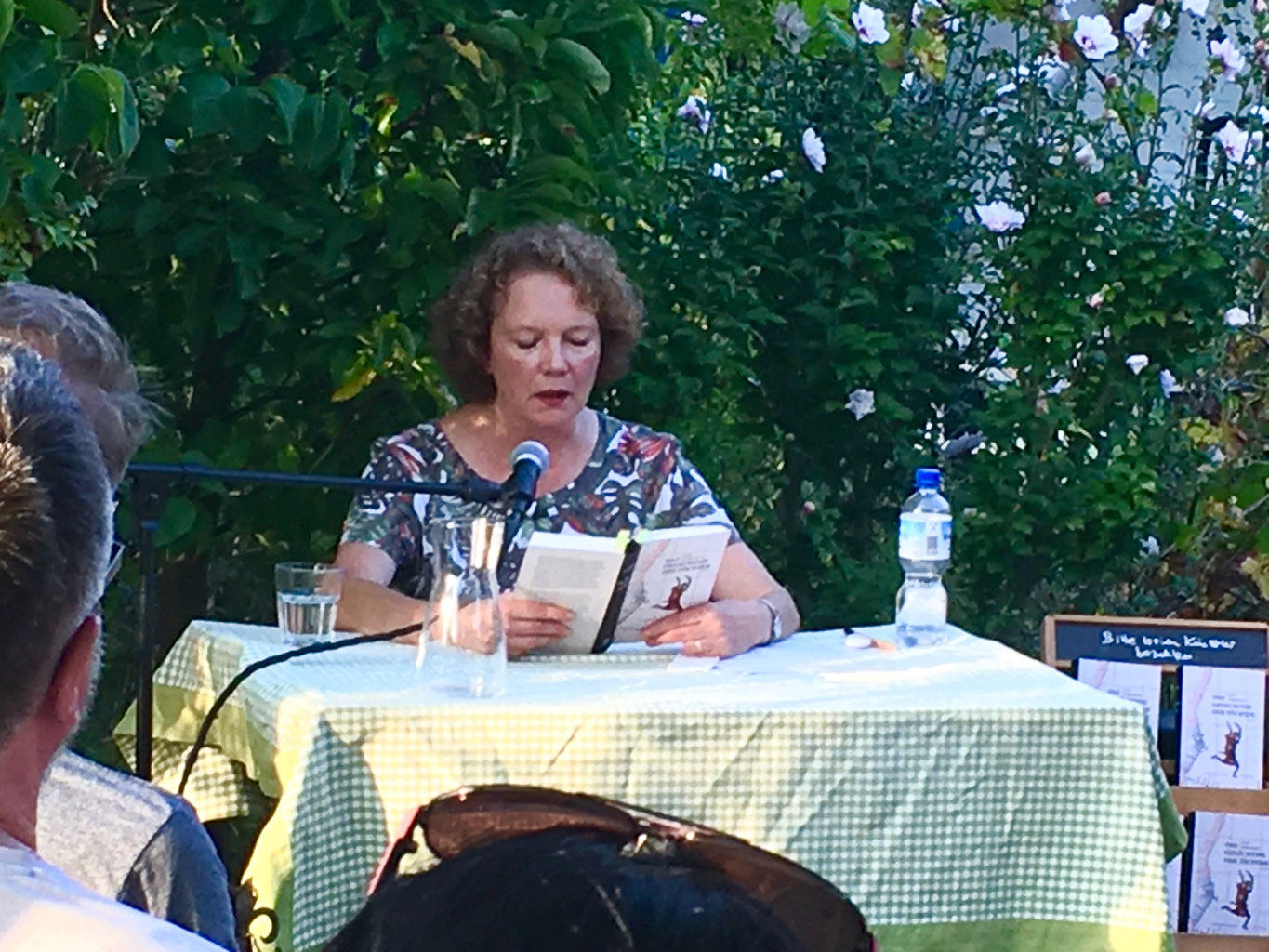 LESUNG IRENE LANGEMANN Literatur, Musik & Mär