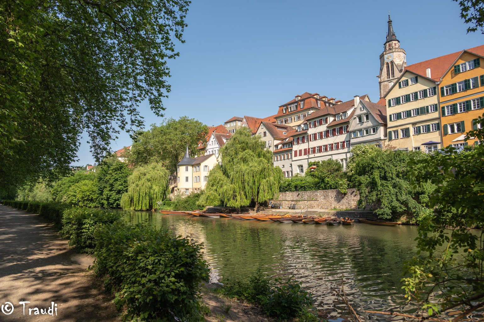 Unterwegs in Tübingen, Teil 1 SchlossSpross