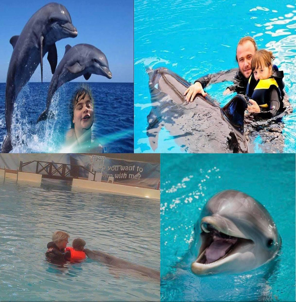 Delfintherapie hilfefueralicias Webseite!