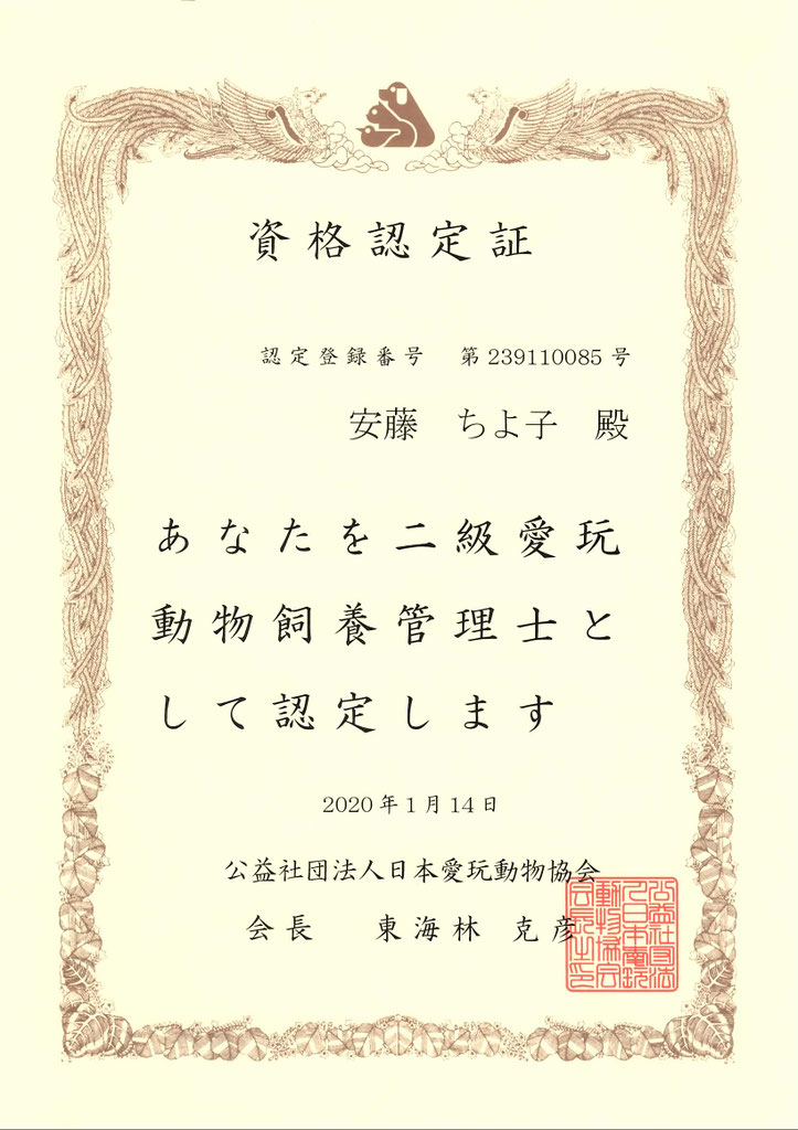 合格者が語る ペットシッター士の取得方法 合格率 取得後の流れも トゥトゥサービス 東京の散歩代行 ペットシッター