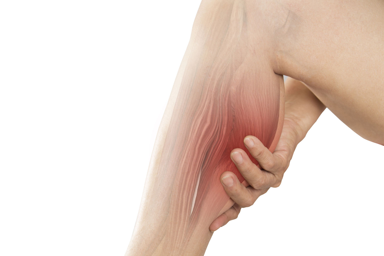 Best Venous Ultrasound For DVT Truffles Vein Specialists