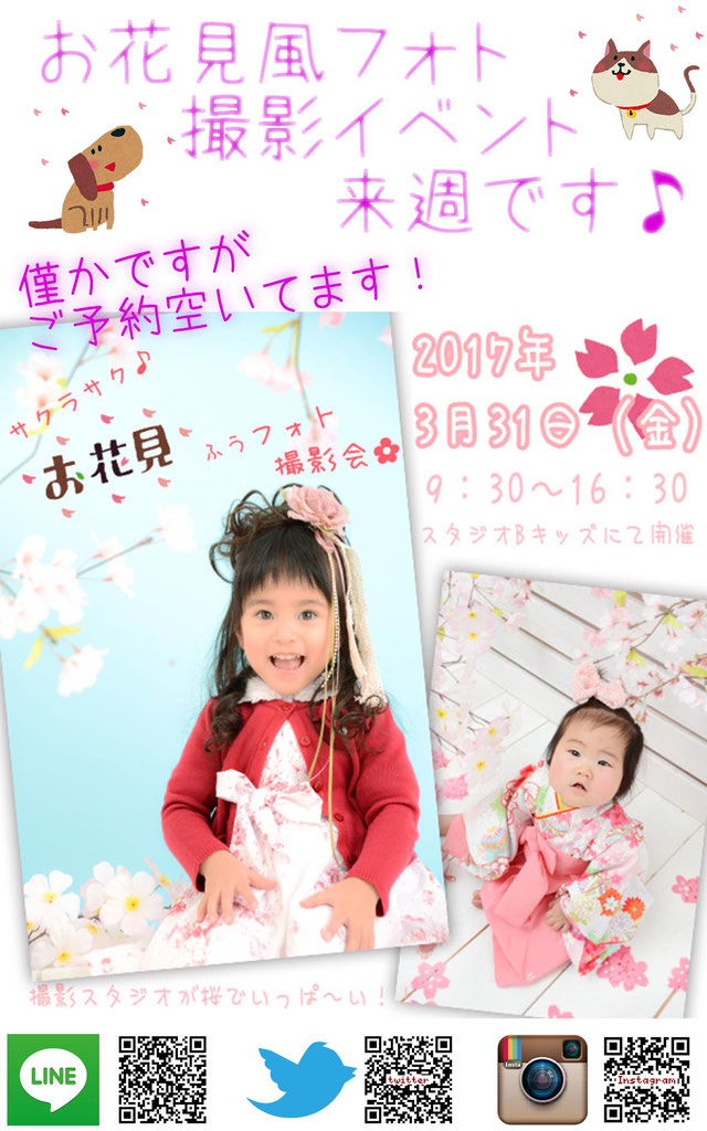 17年3月31日 金 名古屋市西区のスタジオにてイベント 七五三 お宮参り 名古屋のｂキッズ