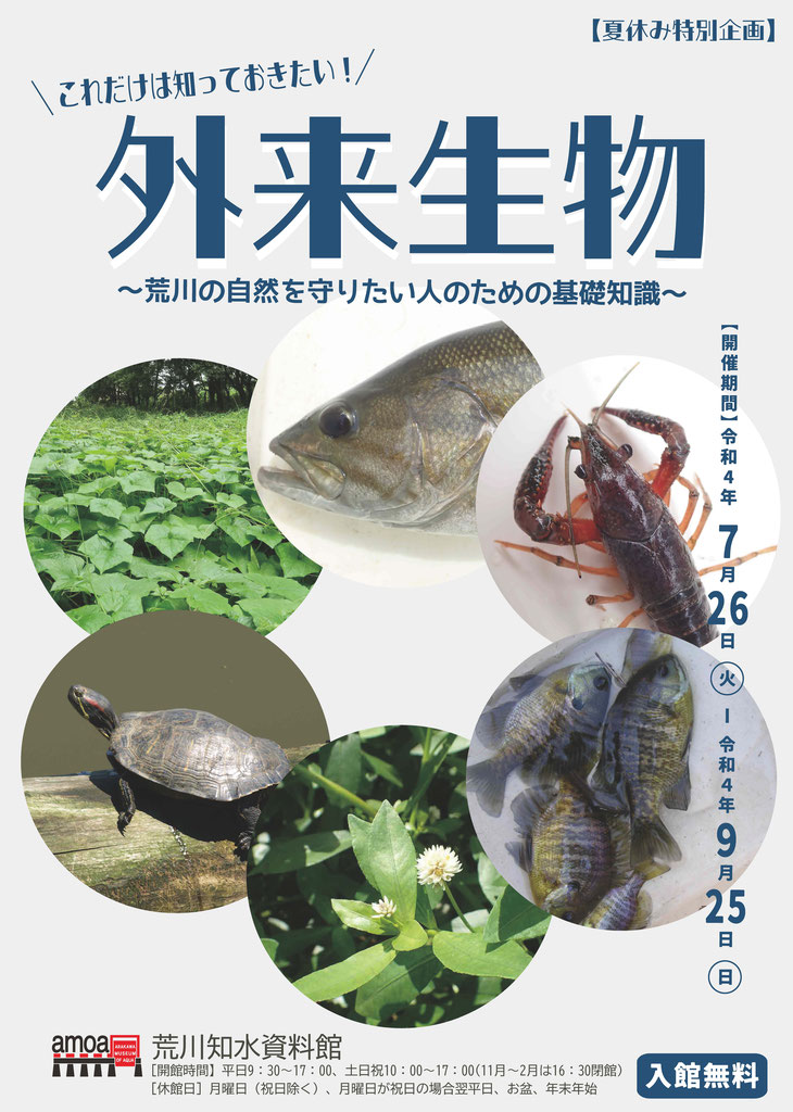 amoa企画展 - 荒川知水資料館 amoa amoa企画展 - 荒川知水資料館 amoa