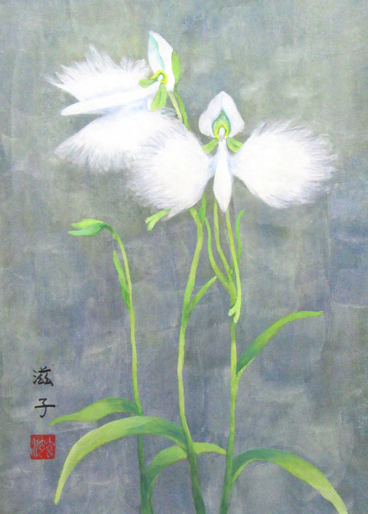 長谷川直美初期作品