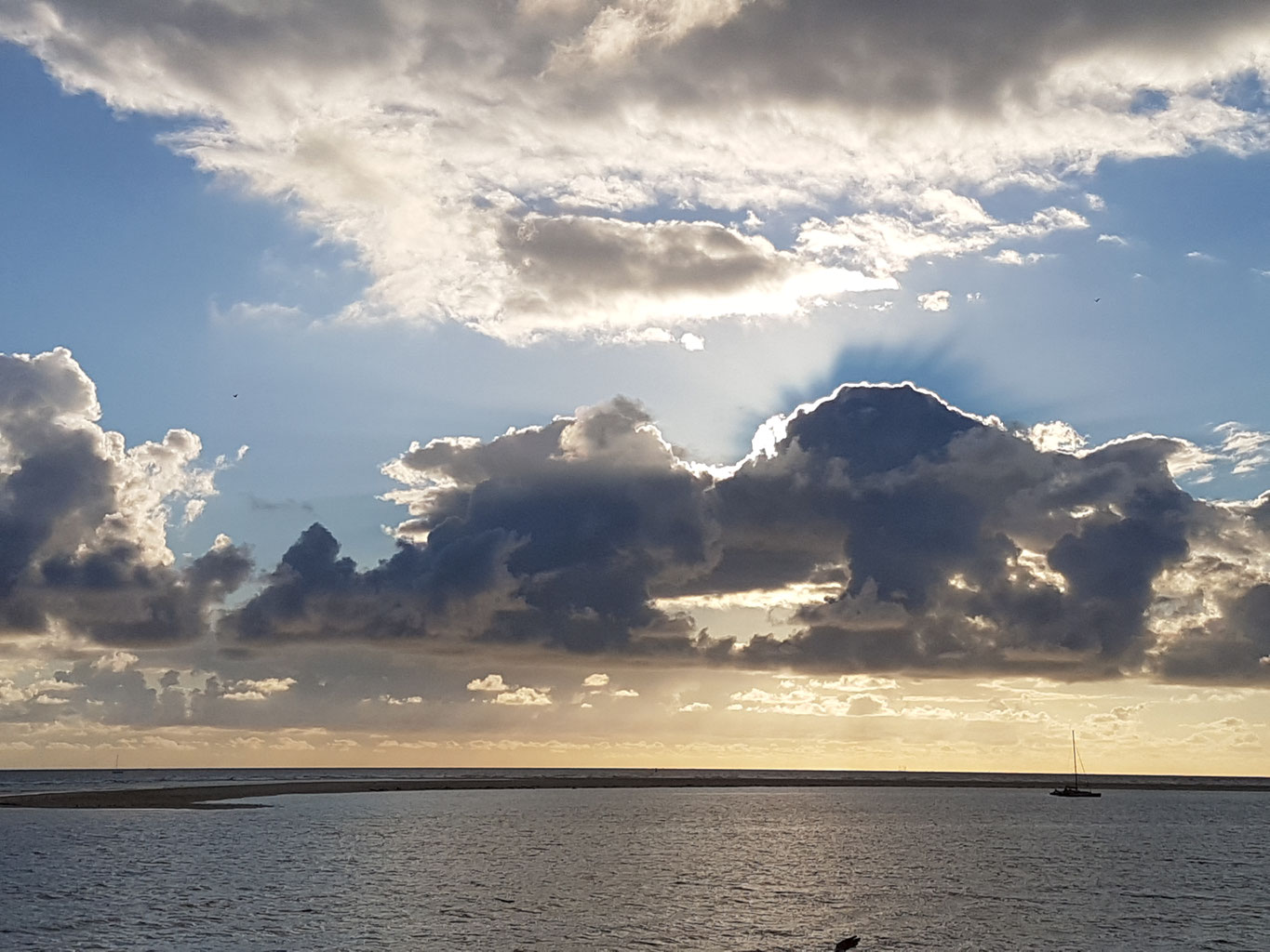 Download Synonym egoistisch For iPhone Free Synonym Egoistisch