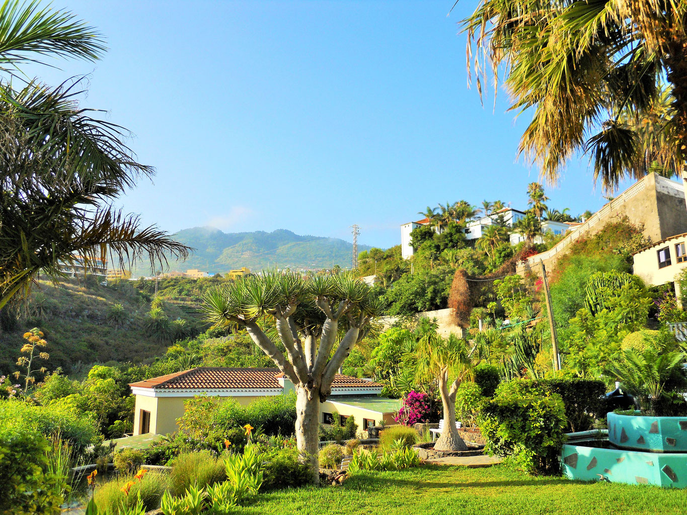 WOHNUNGEN AUF DER FINCA TENERIFFA-ROMANTICA - Ferien-Wohnungen von