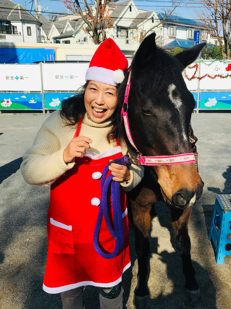 馬のマリヤが人間の悩み相談をします　マリヤの風　東京でホーストレッキング　馬カフェ