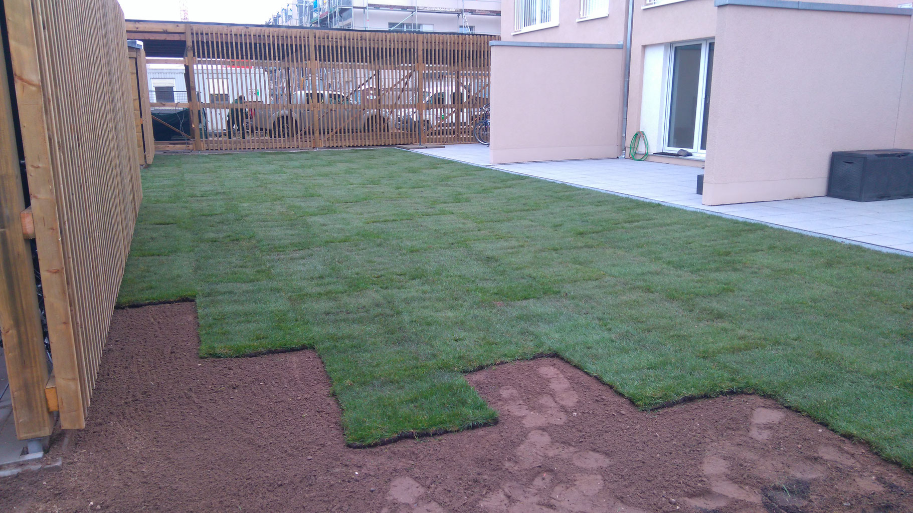Rollrasen Verlegen Im Winter Gartenpflege