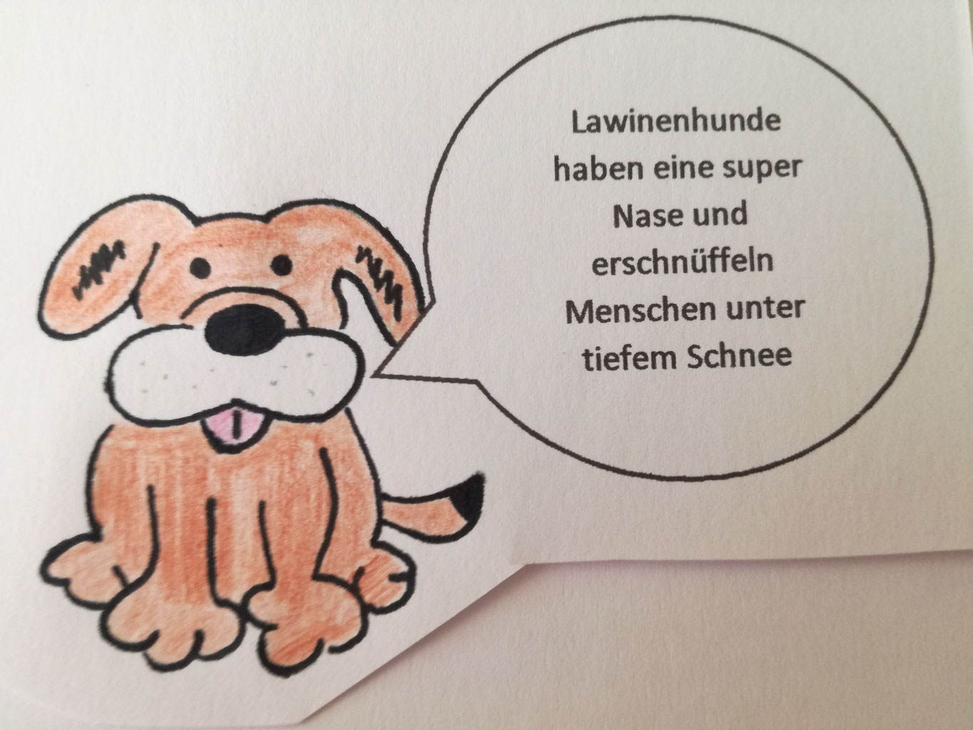 Kann Ein Hund Verschollene Menschen Durch Den Schnee Riechen Hundealshelferimalltags Webseite