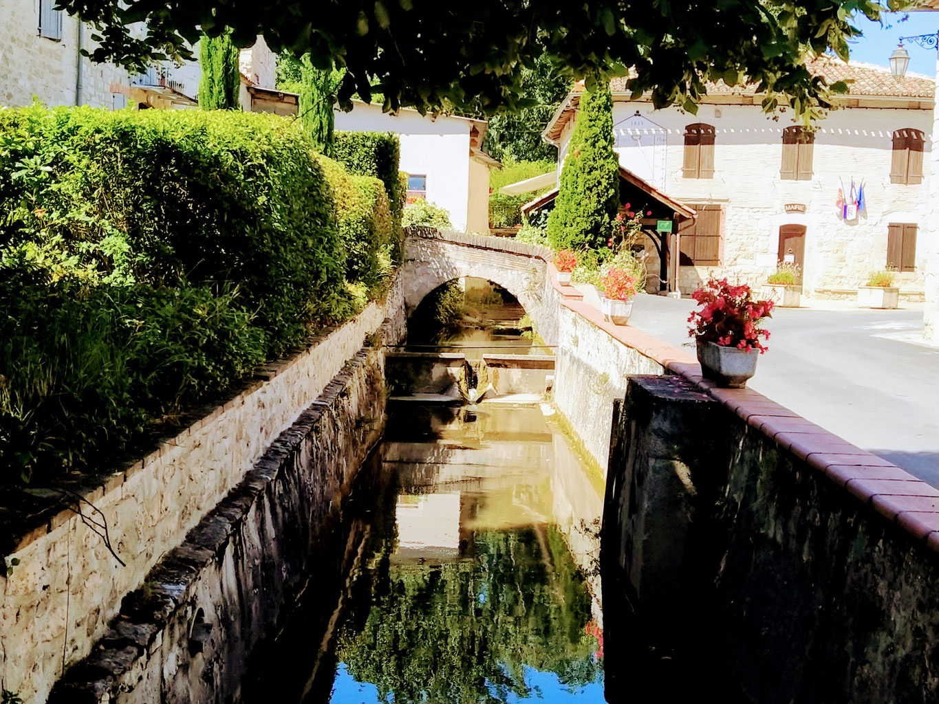 Politique de confidentialité