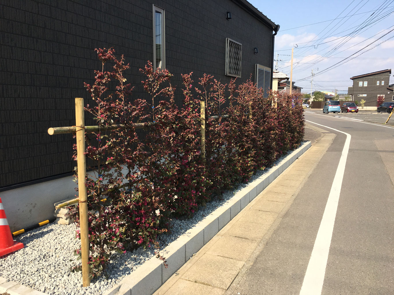 目隠し 生垣 メイクガーデン お庭づくりと植木と雑貨のお店
