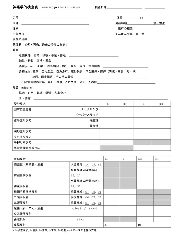 神経学的検査 長谷川動物病院 土日も診療 神経学的検査 長谷川動物病院 土日も診療