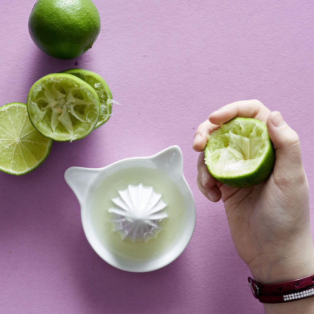 Lime Presse LimeTree Kindercamp