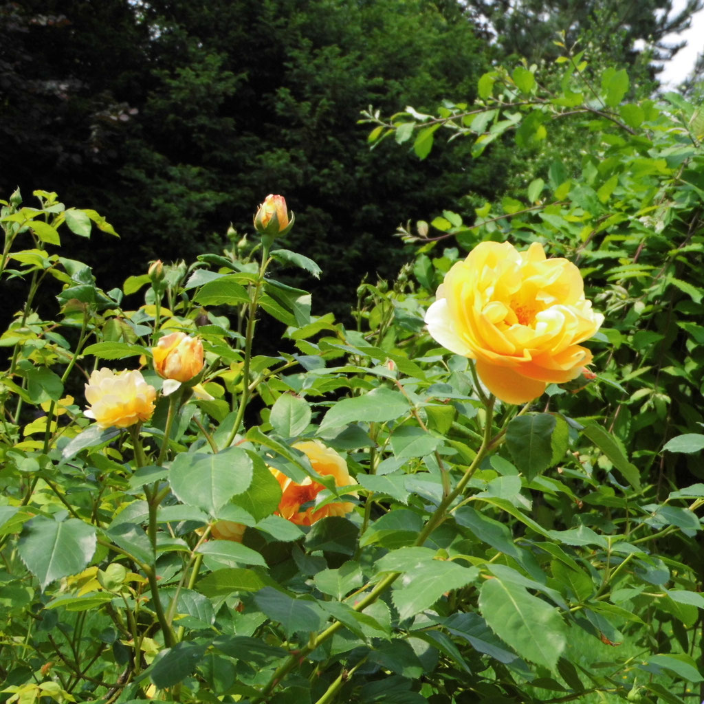 Private Praxis Thomas Lenninghaus Startseite Facebook