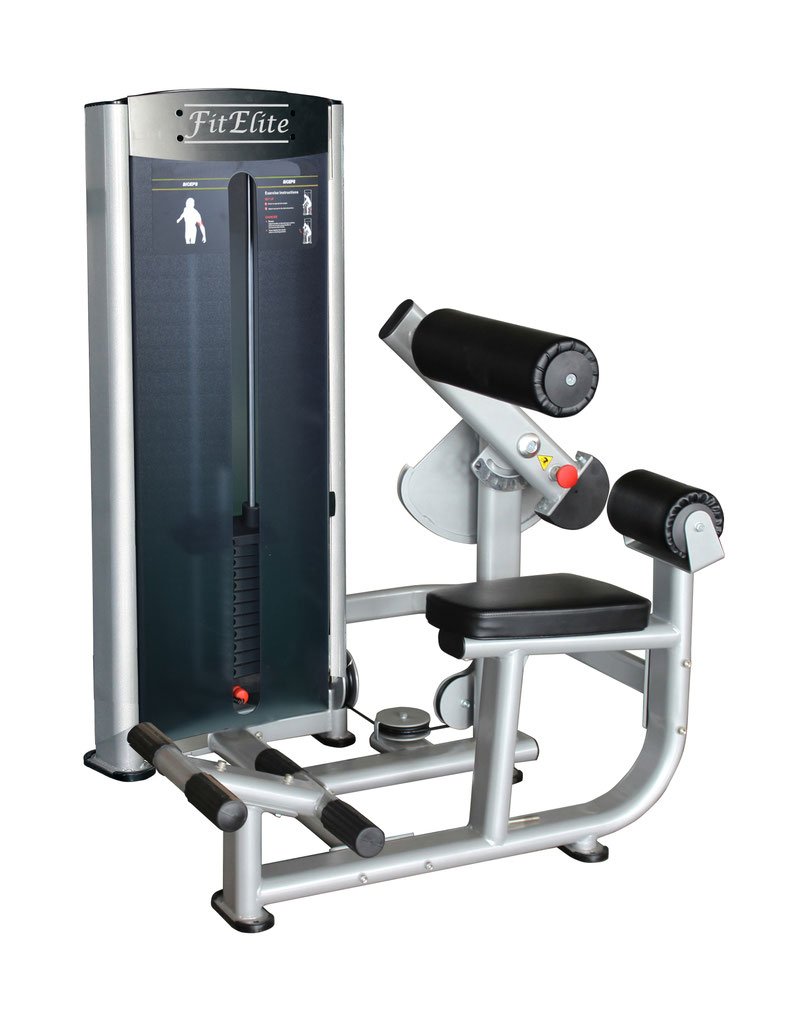 格安即決 バックエクステンションアブドミナルクランチ 業務用バックエクステンション 業務用アブドミナルクランチ 背中 腹筋 2ウェイ ウェイト