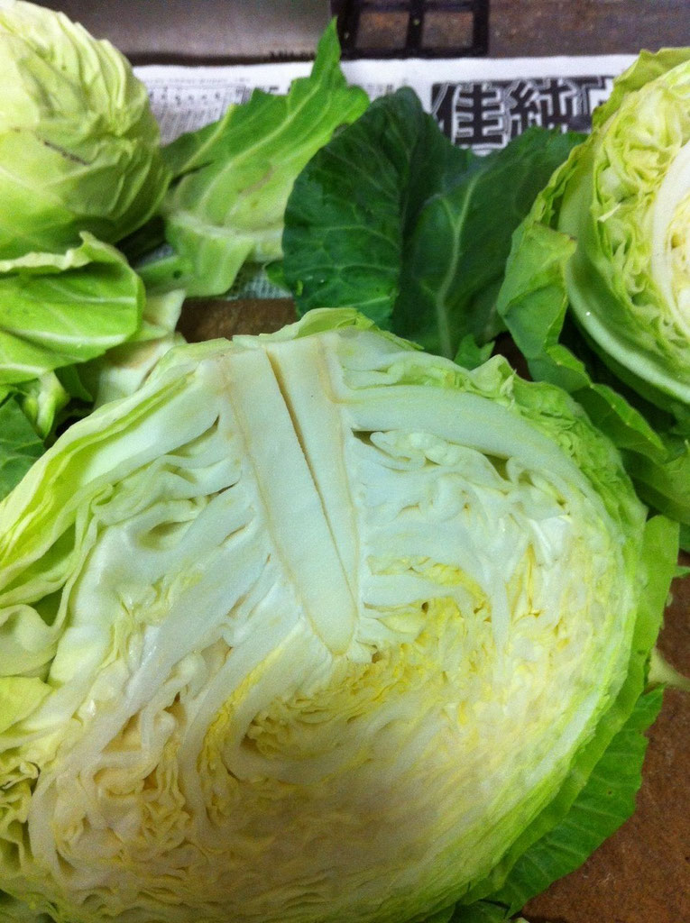 キャベツのとう立ちを防ぐ方法 野菜とフルーツをもっと楽しみましょう 東武百貨店船橋店の八百屋から全国へ野菜と果物をお届けします キャベツのとう立ちを防ぐ方法 野菜とフルーツをもっと楽しみましょう 東武百貨店船橋店の八百屋から全国へ野菜と果物をお届けします