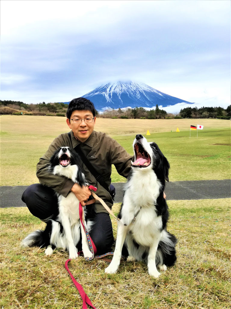 八王子のペットホテル、ペットシッター、犬のしつけはお任せ
