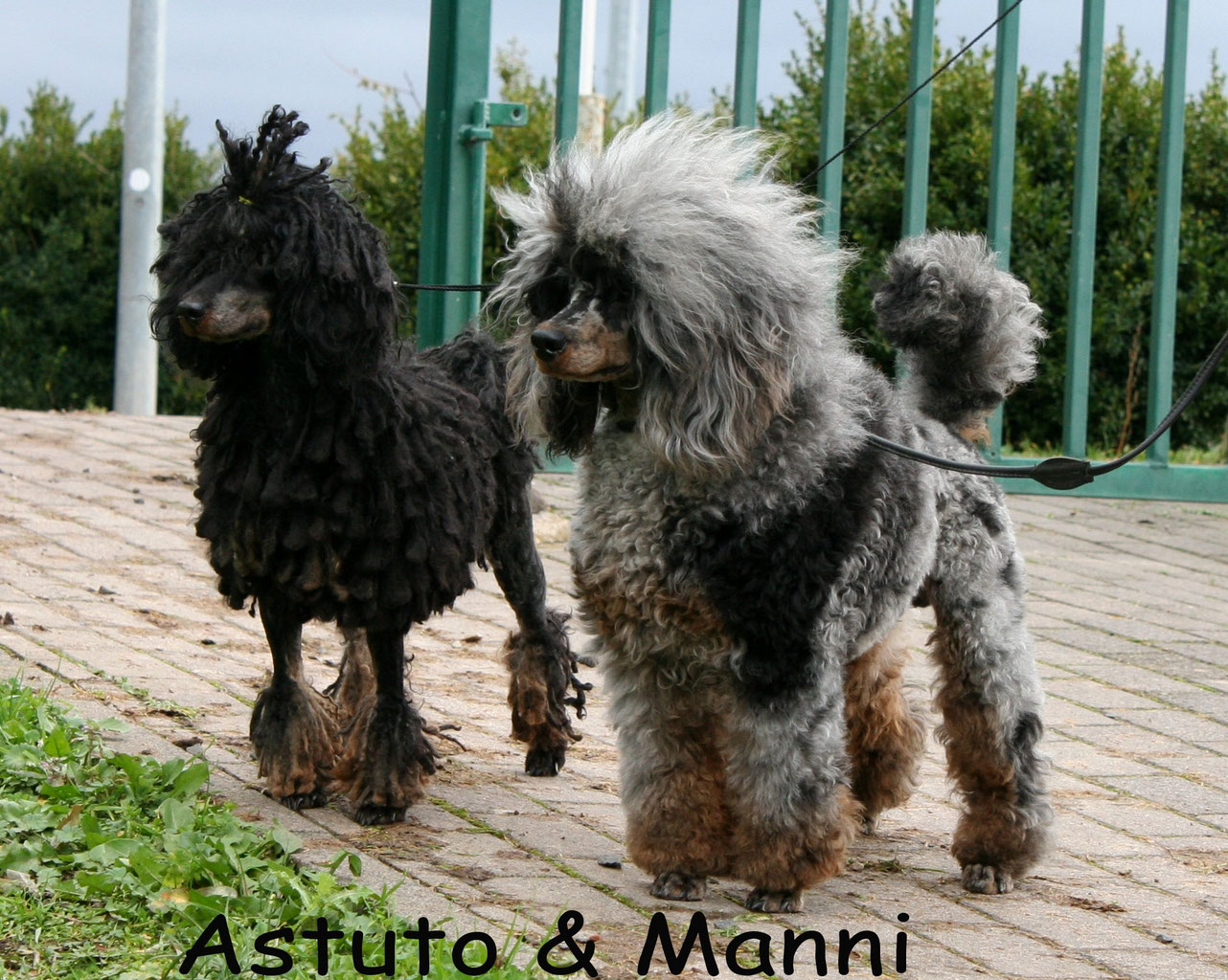 Fur Mehr Infos Bitte Ganz Links Oben Das Kleine Zeichen Anklicken