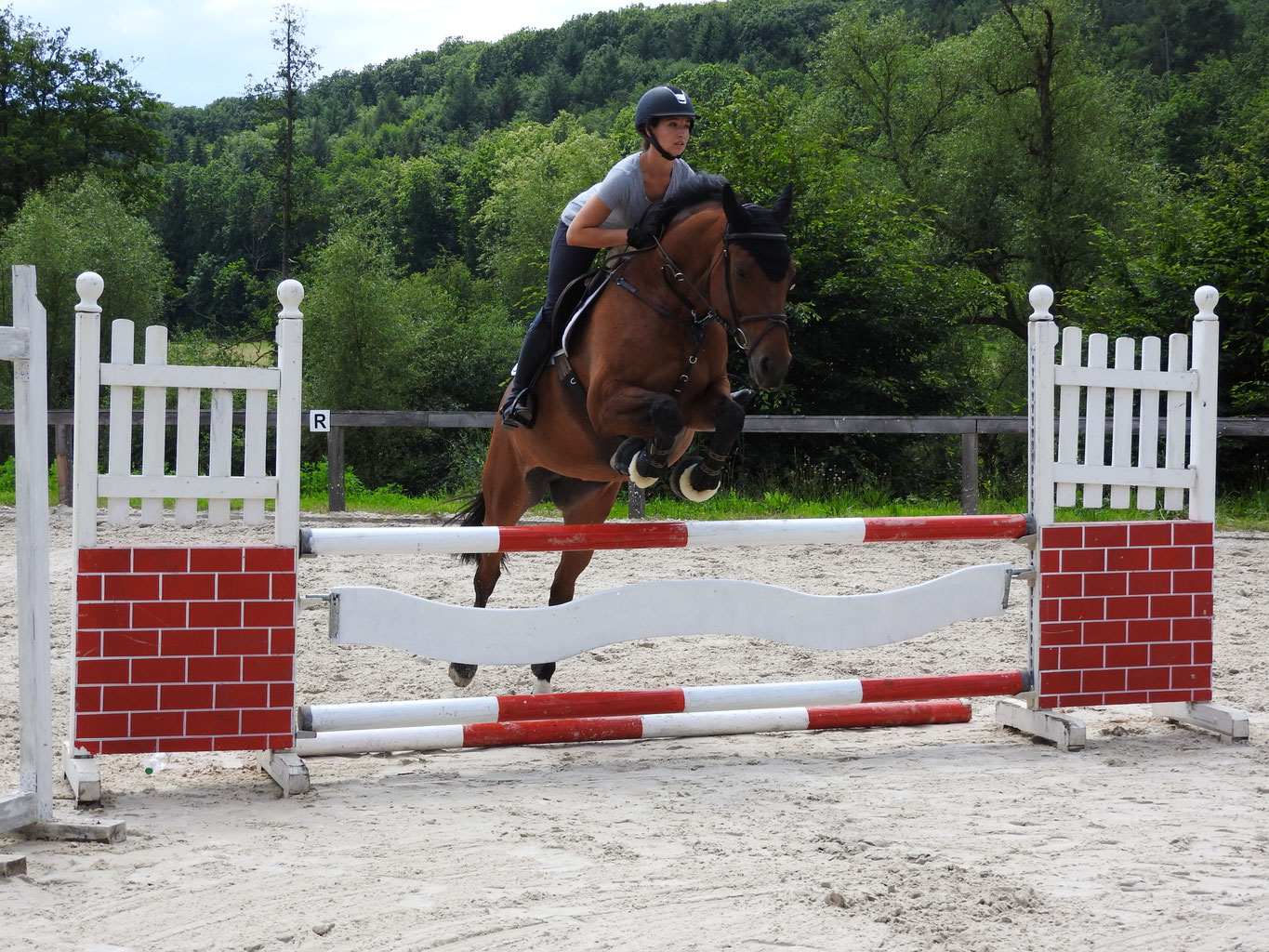 Reiten bad kissingen
