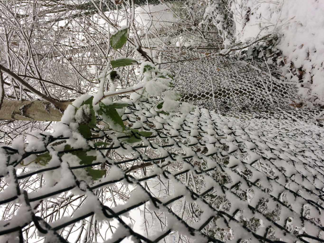 Narsizim - https://narsistleyasam.jimdo.com