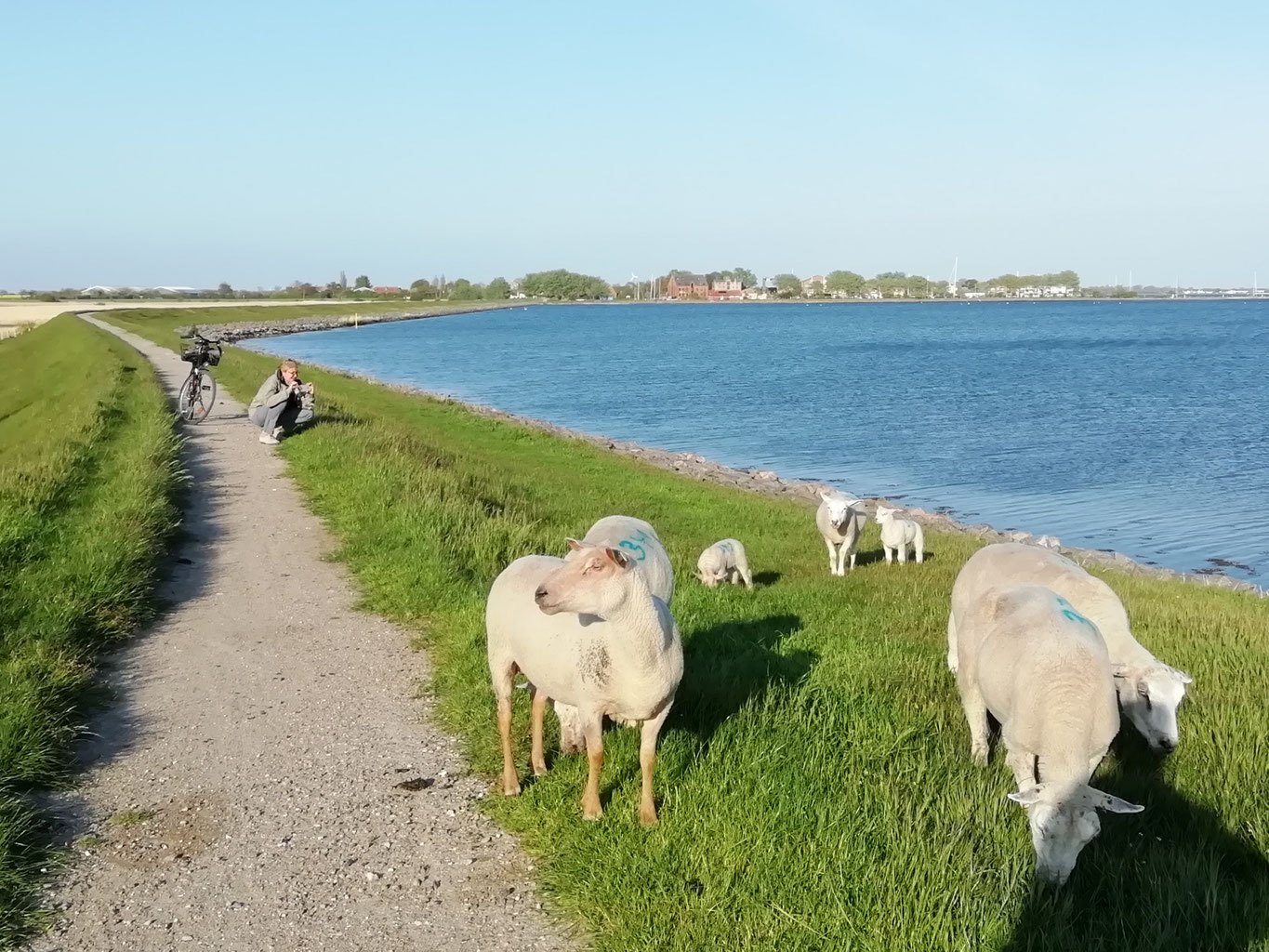 Fahrrad fahren auf Fehmarn - Hirschfeld Hus Ferienwohnungen