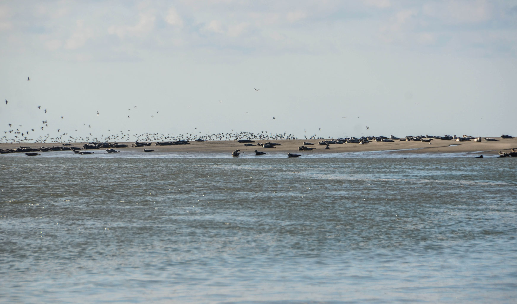 Entre Baie De Somme Et Baie D Authie A Quend Plage Entre Mer Et