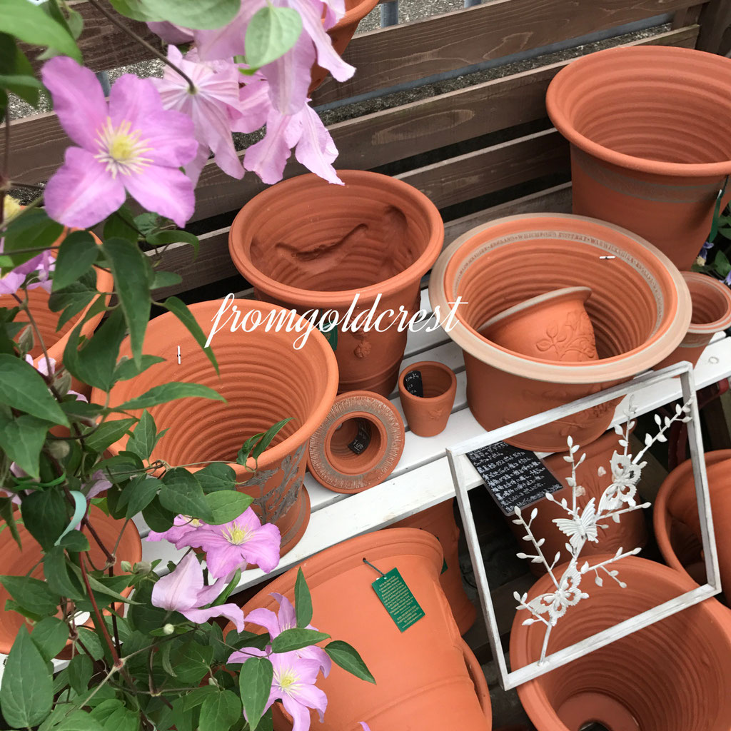 cover & pot - ホームPlants＆Gift GoldCrest 移動販売のゴールドクレスト