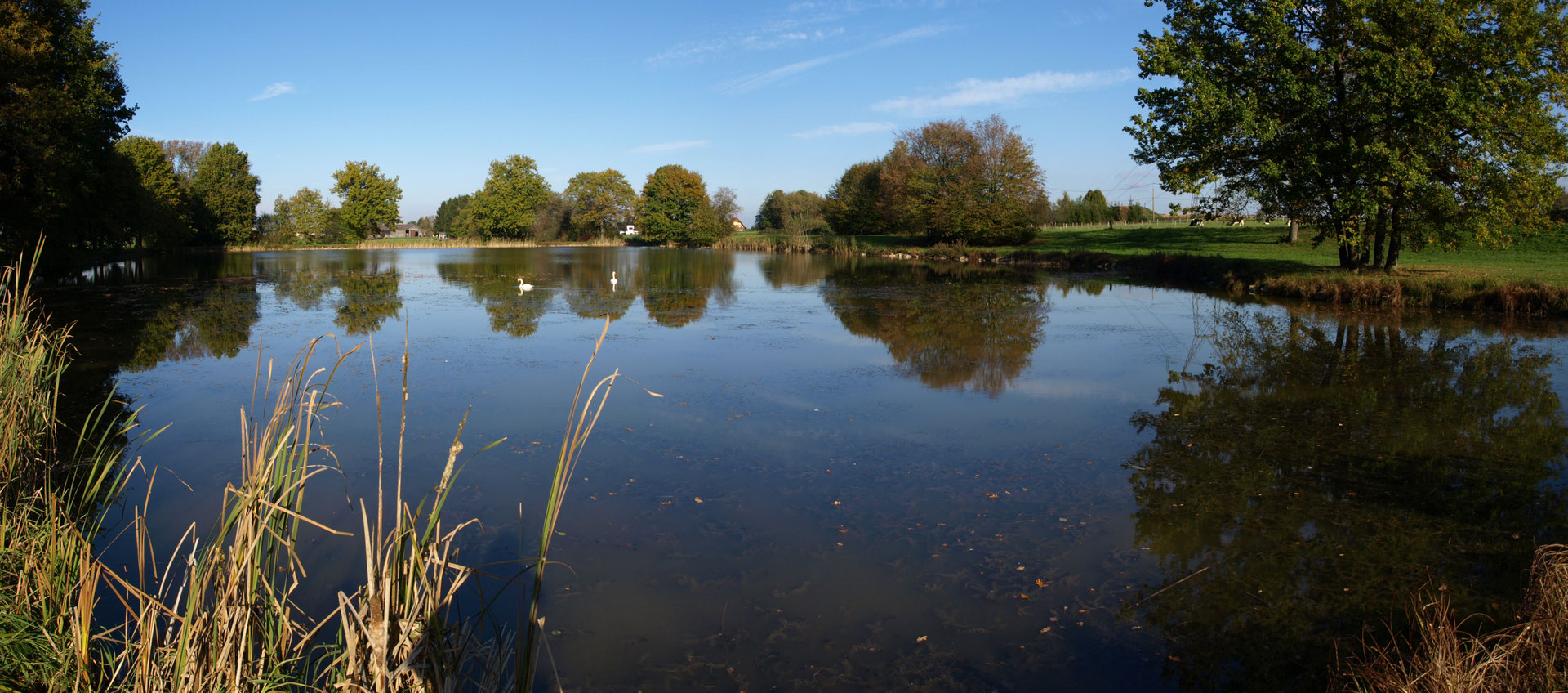 Tradition Site de carpefritefr
