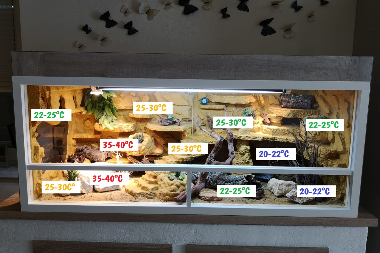 Das Terrarium derleopardgecko