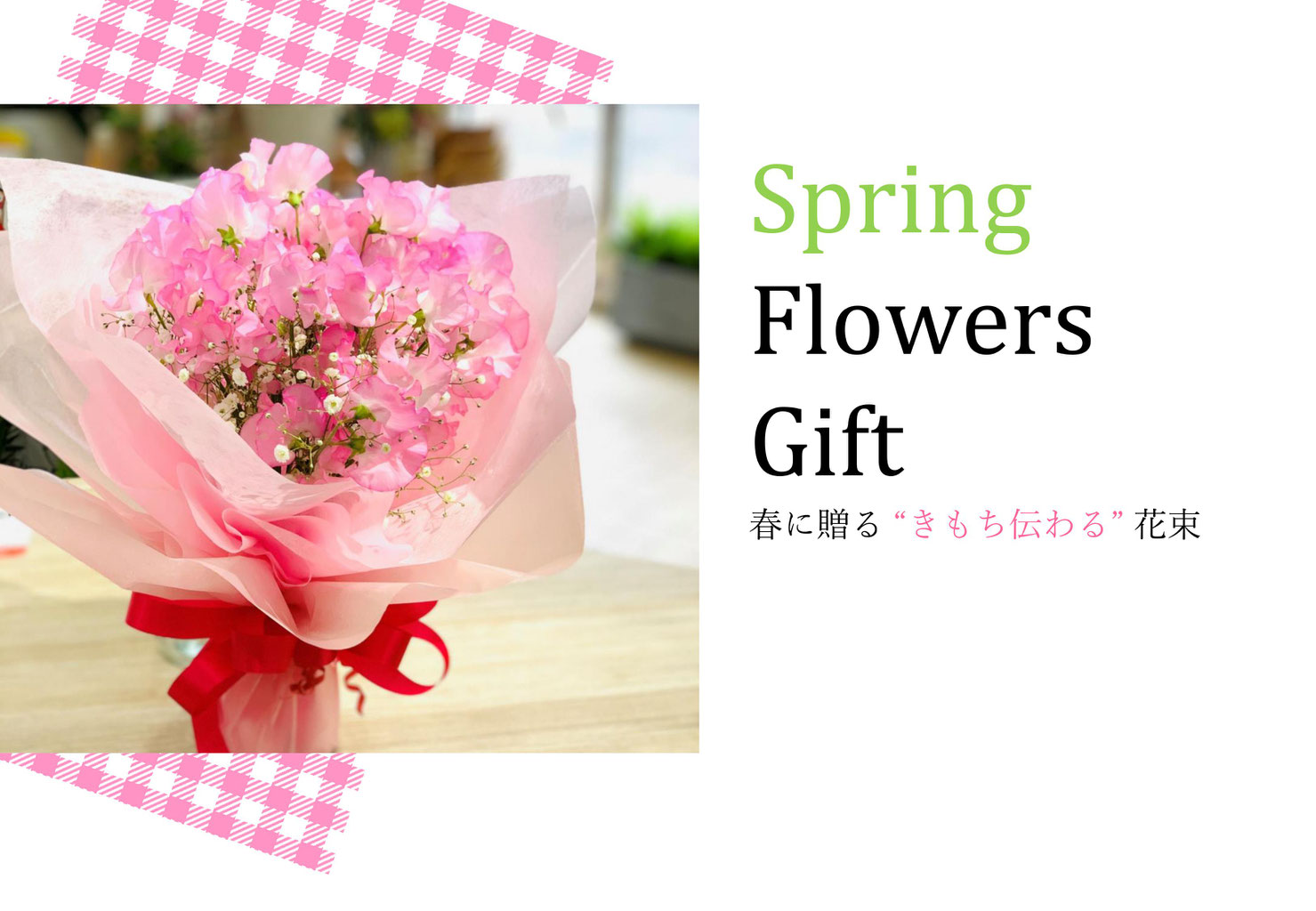 美しい花の画像 新着送別 花 言葉 美しい花の画像 新着送別 花 言葉