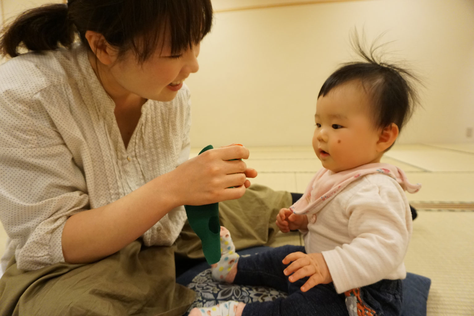 RTA ファーストサイン あかちゃんと話そう ベビーサイン 10冊