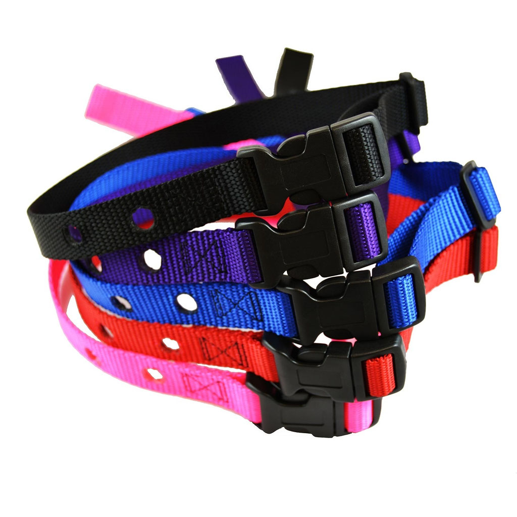 DFG Replacement Nylon Collars Dog Fence Guy installs invisible type