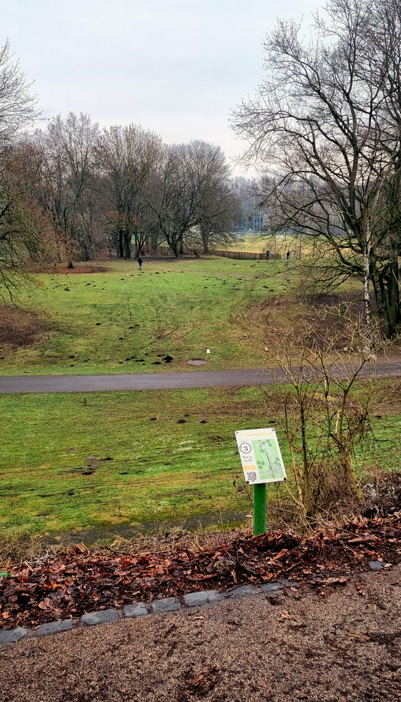 Die besten Parcours in Niedersachsen Discgolf Germany