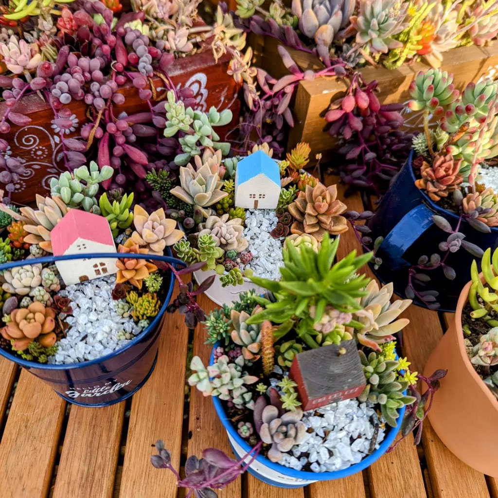 春 多肉植物の箱庭作り体験 - むらやま観光なび