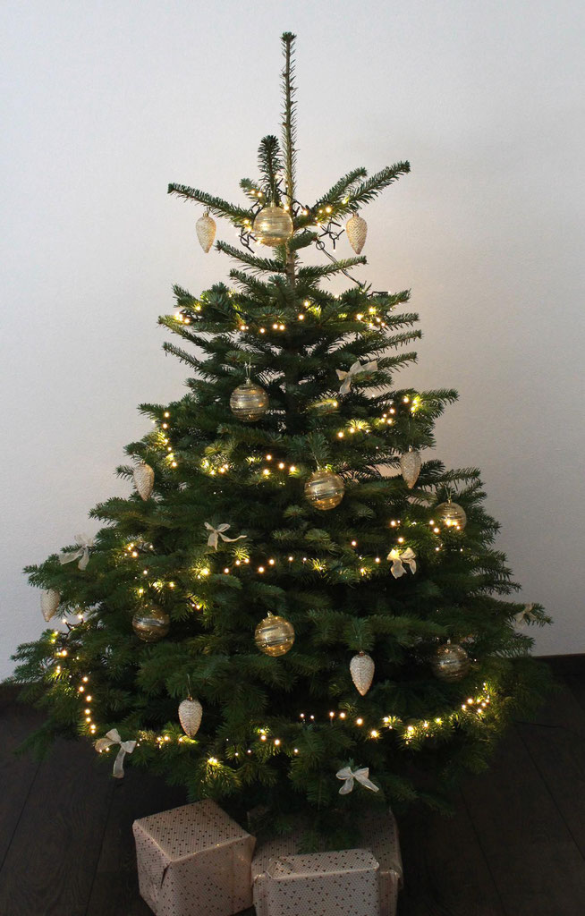geschmückter Weihnachtsbaum PK611 Größe 10,5x15 cm Edition TausendschönFrohe Weihnachten