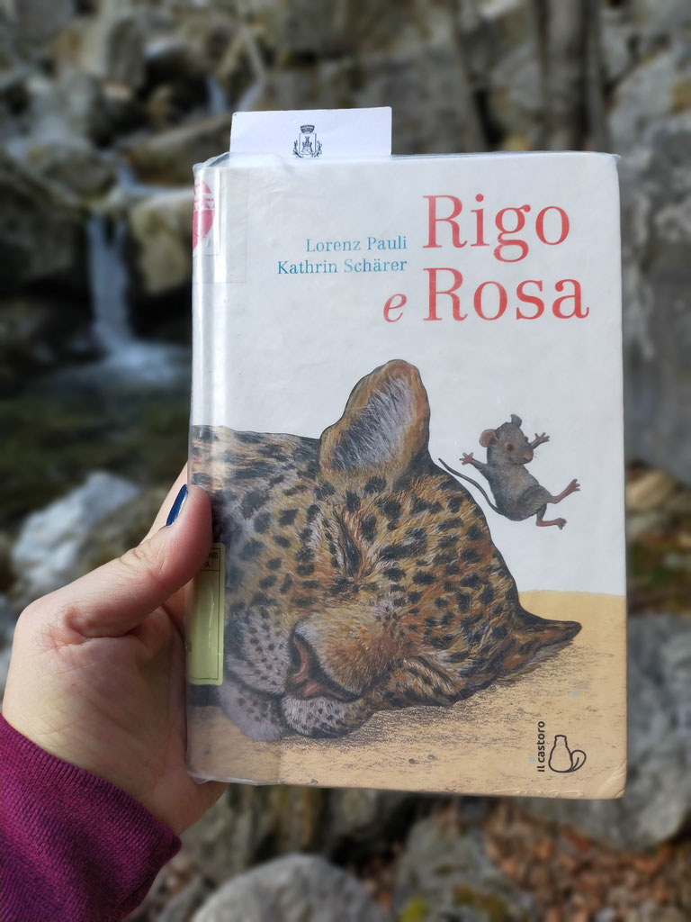 Rigo E Rosa Di Lorenz Pauli Benvenuti Su Libriinvololibero 