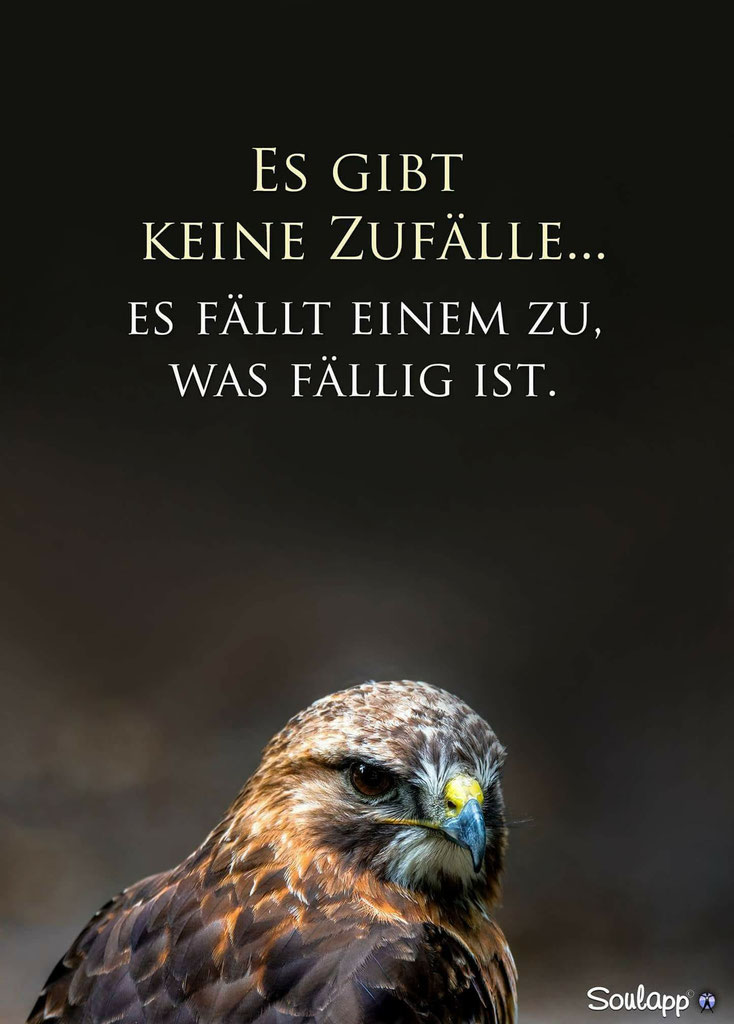 Download Es gibt keine zufaelle im leben Free Es Gibt Keine Zufaelle Im Leben