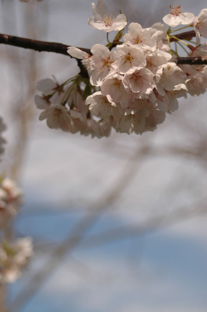 Gedichte Zur Konfirmation Kommunion Firmung Eggert Schwartens Webseite