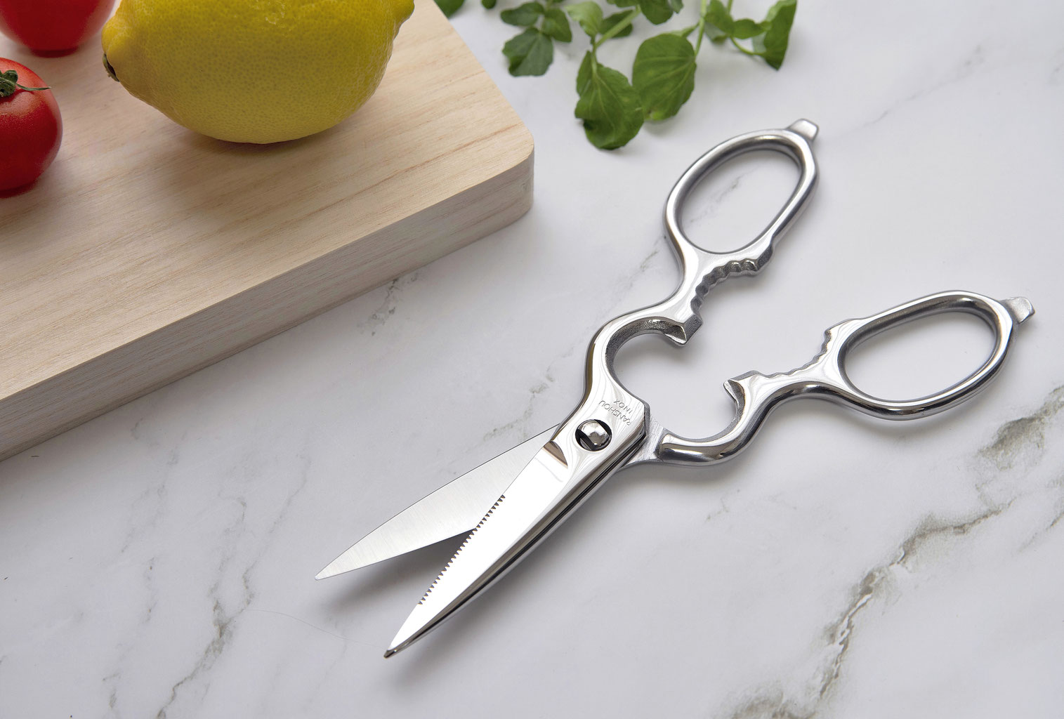 kitchen scissors SG SUPPORT