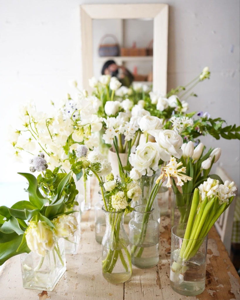 Daily - La hortensia azul