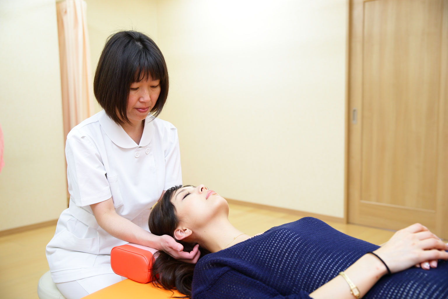 カイロプラクティック マニピュレーション反射テクニック カイロプラクティック テクニック教本 ――理論と実践